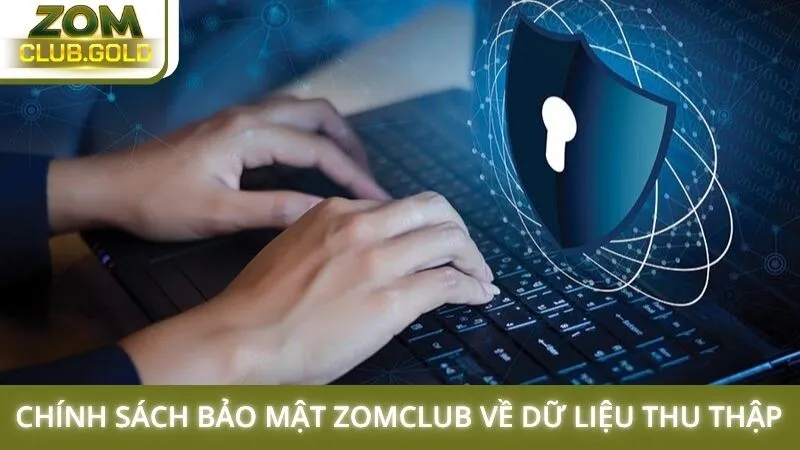 Chính sách bảo mật Zomclub về dữ liệu thu thập